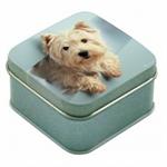 D�se terrier bl�