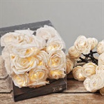 Lysk�de Rose